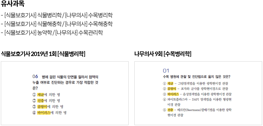 유사 과목으로 효율적인 학습 가능